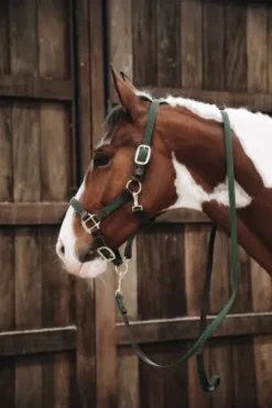 Longe en nylon tressé - Kentucky