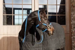 Longe en nylon tressé - Kentucky
