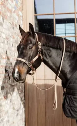 Longe en nylon tressé - Kentucky