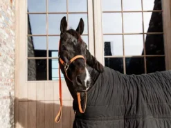 Longe en nylon tressé - Kentucky