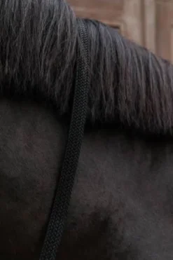 Longe en nylon tressé - Kentucky