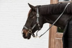 Longe en nylon tressé - Kentucky