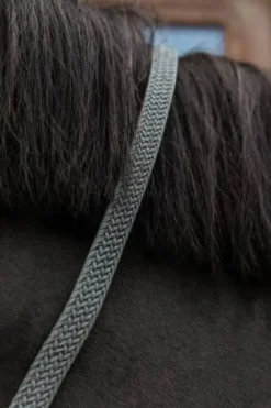 Longe en nylon tressé - Kentucky