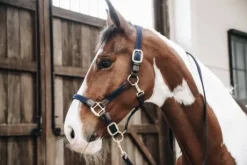 Longe en nylon tressé - Kentucky