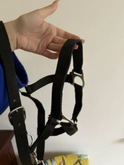 lot de 2 licols noir