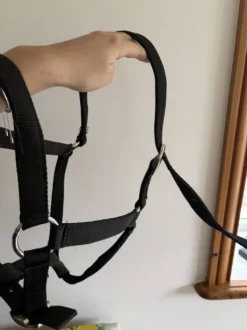 lot de 2 licols noir