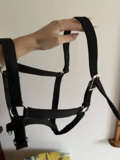 lot de 2 licols noir