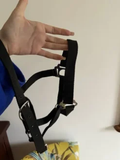 lot de 2 licols noir