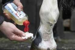 Lotion lavante sans savon MED - LEOVET