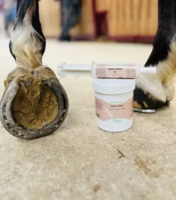 Magic pieds 500G Nutragile