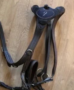 Martingale collier de chasse Antares