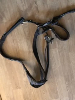 Martingale collier de chasse Antares