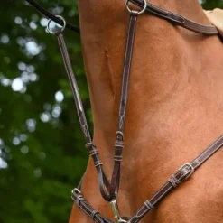 Martingale de Collier Monday et Tuesday