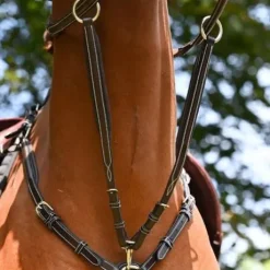 Martingale de collier Wednesday et Crystal