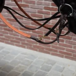 Martingale Howlett cuir Petitpas