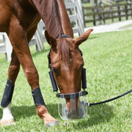 Masque anti-pâturage flexible ThinLine