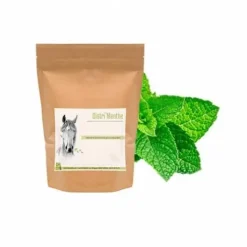 Menthe Cheval - Confort digestif