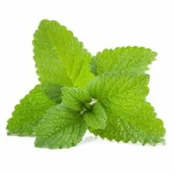 Mélisse 1kg - Horse Remedy