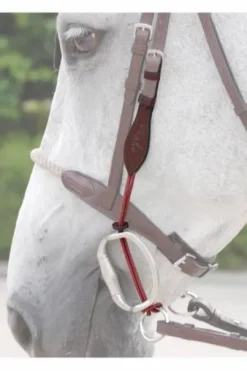 Montants de releveur corde fine Dy'on New English Collection