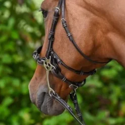 Montants et lanière pour hackamore - Collection Week - Jump'in