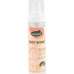 Mousse détachante Ravene Easy shine