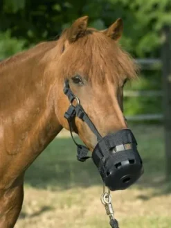 Muselière nylon extra full - USG