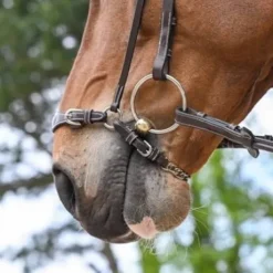 Muserolle allemande à chaîne - Jump'in