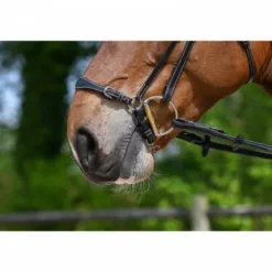 Muserolle allemande à chaîne - Jump'in