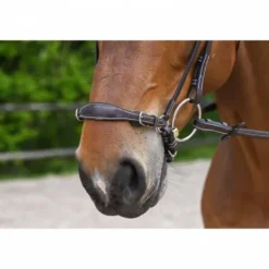 Muserolle allemande à chaîne - Jump'in