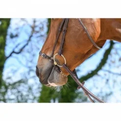 Muserolle allemande à chaîne - Jump'in