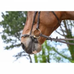 Muserolle allemande à chaîne - Jump'in