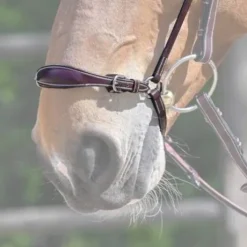 Muserolle allemande - Jump'in