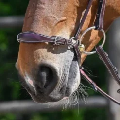 Muserolle allemande - Jump'in