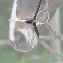 Muserolle allemande corde - Jump'in