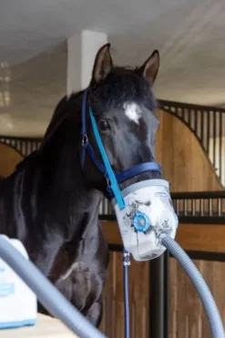 Nébuliseur à ultrasons airone - hippomed - 230 volts