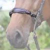 Nez de hackamore cuir - Jump'in