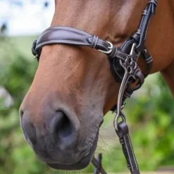 Nez de hackamore cuir - Jump'in