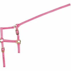 NORTON Licol poulain