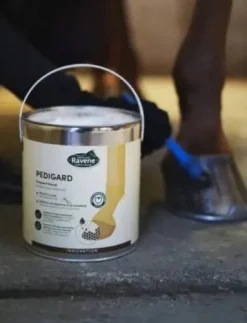 Onguent blond Pedigard - Laboratoire Ravene