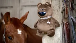 OSKKIO - Caméra de surveillance intelligente, nomade et sans abonnement