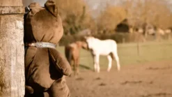 OSKKIO - Caméra de surveillance intelligente, nomade et sans abonnement