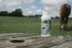 Oxxygen 500ml - ravene