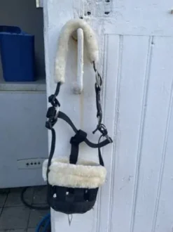 Panier pour shetland