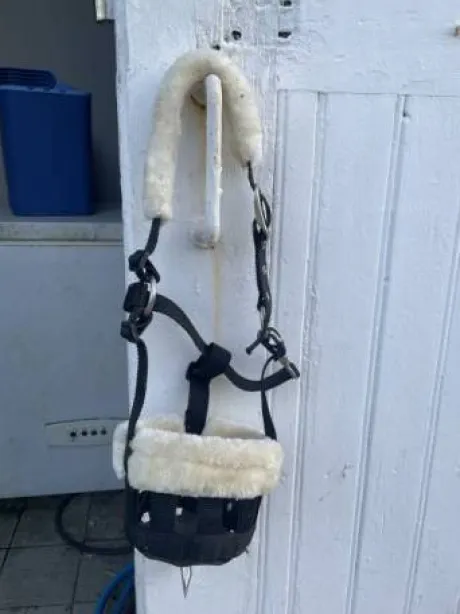 Panier pour shetland