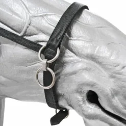 Petit licol à anneaux nylon