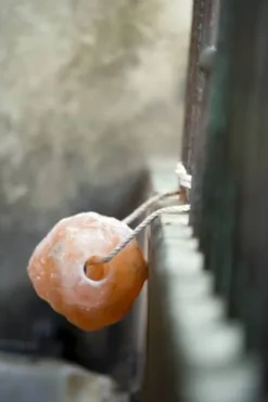 Pierre à sel de l'himalaya - Hippotonic