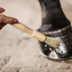 Pinceau à sabot - Kentucky