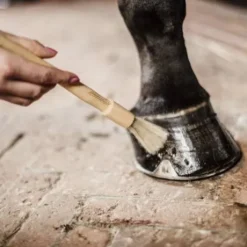 Pinceau à sabot - Kentucky