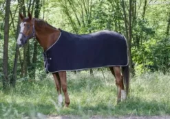 Polaire cheval 145cm