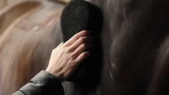 Éponge Shine Scrubber - Lami-Cell - Multifonctionnelle